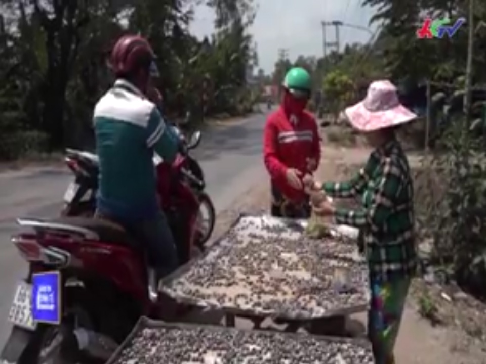 Hen phoi nang mien Tay vao mua, gia chi 20.000 dong mot kg hinh anh