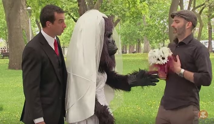 Tro dua co dau Gorilla khien nguoi di duong phat hoang hinh anh