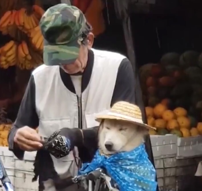 Clip cam dong nguoi dan ong doi mua mang non cho cho cung hinh anh