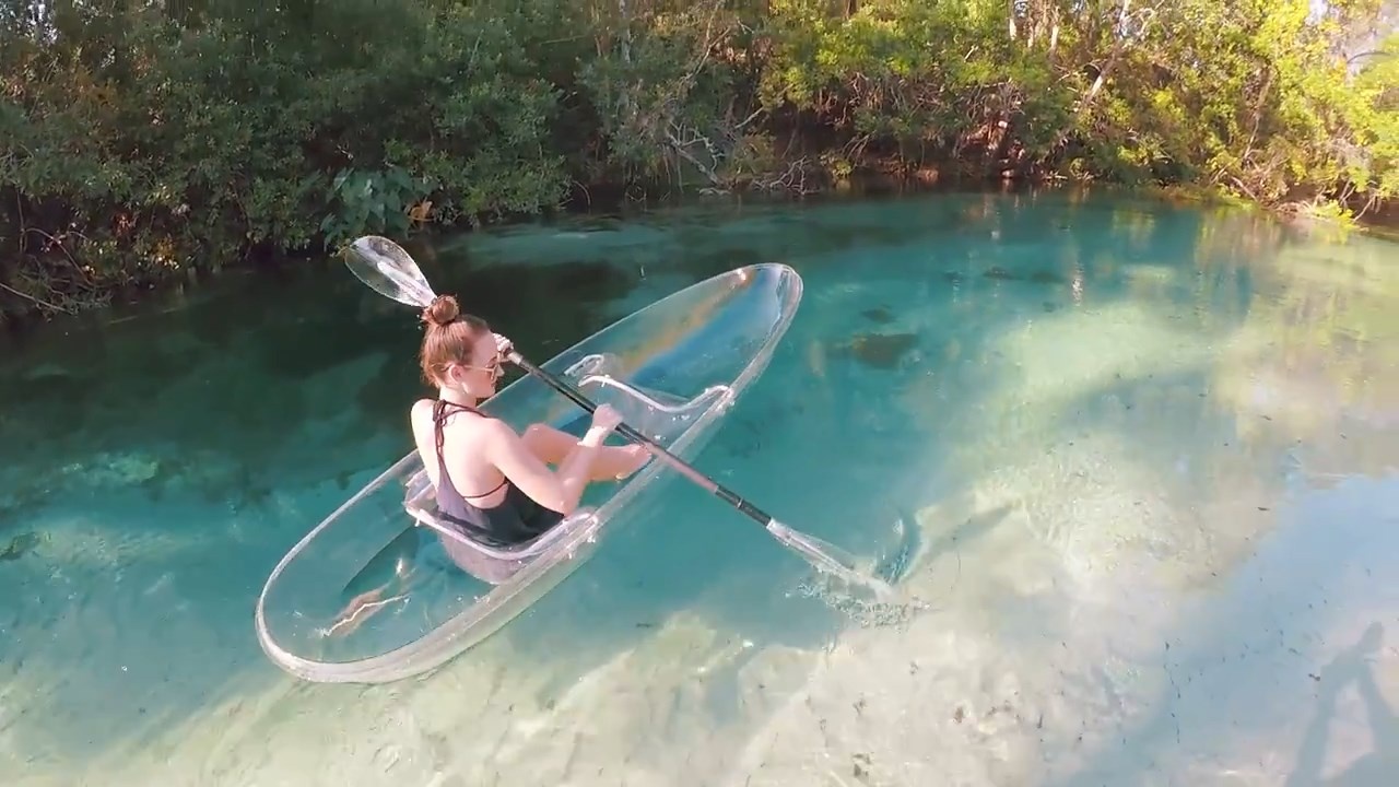 Trai nghiem cheo thuyen trong suot tai Florida hinh anh