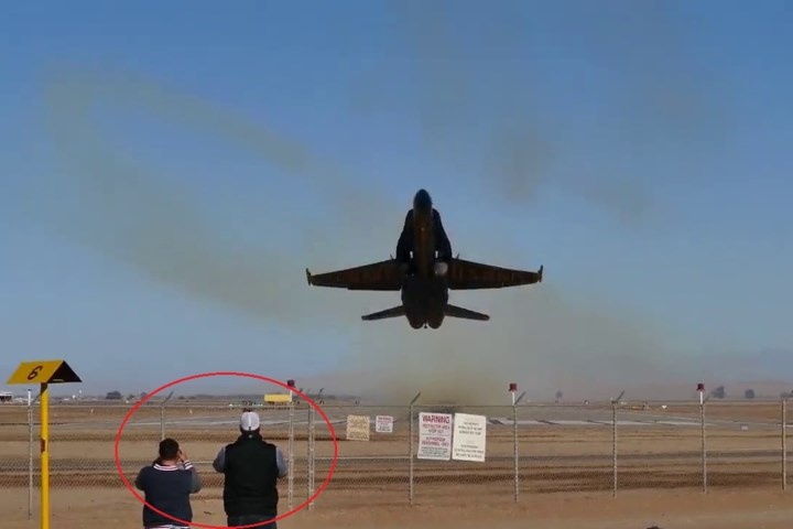 Clip tiem kich 'Ong bap cay' My cat canh sat nguoi bo hanh hinh anh