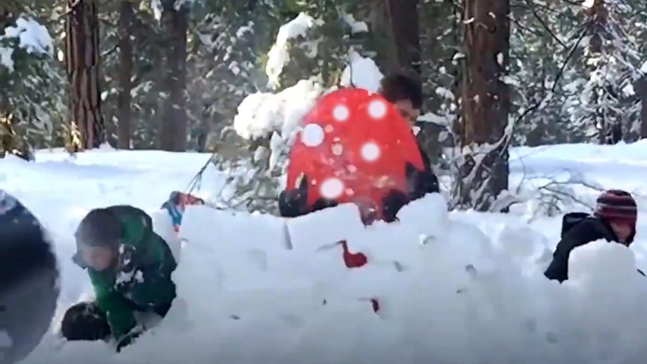 Doc dao khau sung ban tuyet sang tao trong mua dong khac nghiet hinh anh