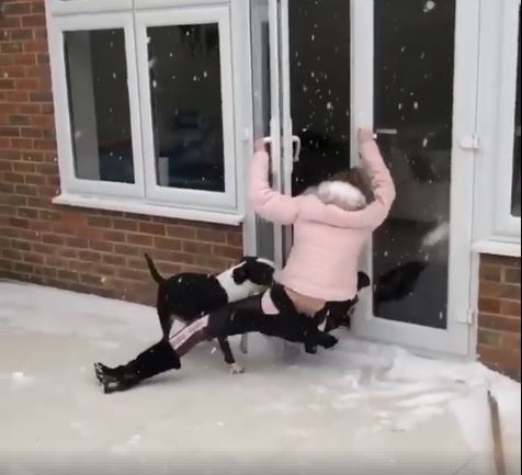 Co gai 'bat luc' voi troi tuyet vi doi giay truot hinh anh