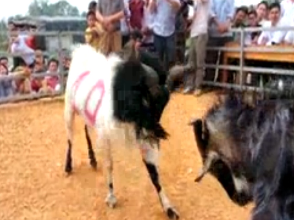 Doc dao le hoi choi de Bac Giang hinh anh