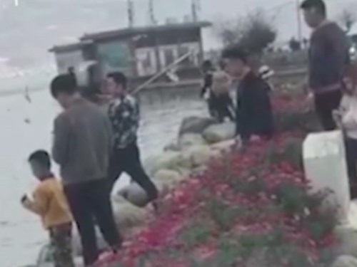 Nghe loi tre con, du khach Trung Quoc dung gay danh guc chim hai au hinh anh