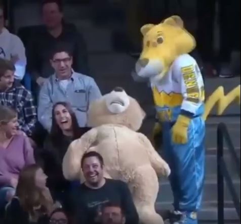 Cach kiem gau theo cach 'dac biet' nhan dip 8/3 hinh anh