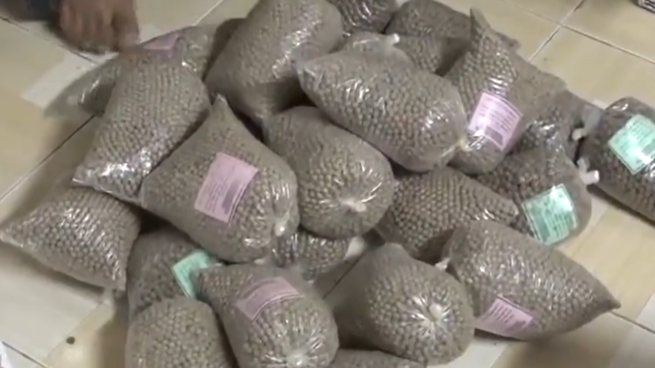 Co so tang tru thuoc dong duoc khong ro nguon goc hinh anh