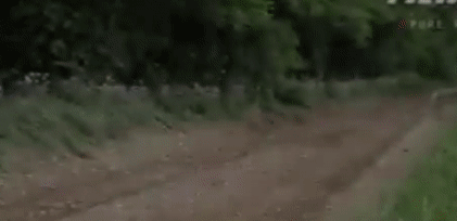 Man 'ruot duoi' toc do cao trong giai dua xe dia hinh hinh anh