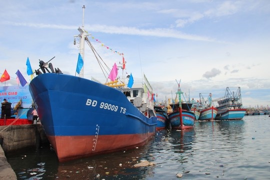 Lai dat hai tau ca Binh Dinh va Nghe An gap nan vao bo hinh anh