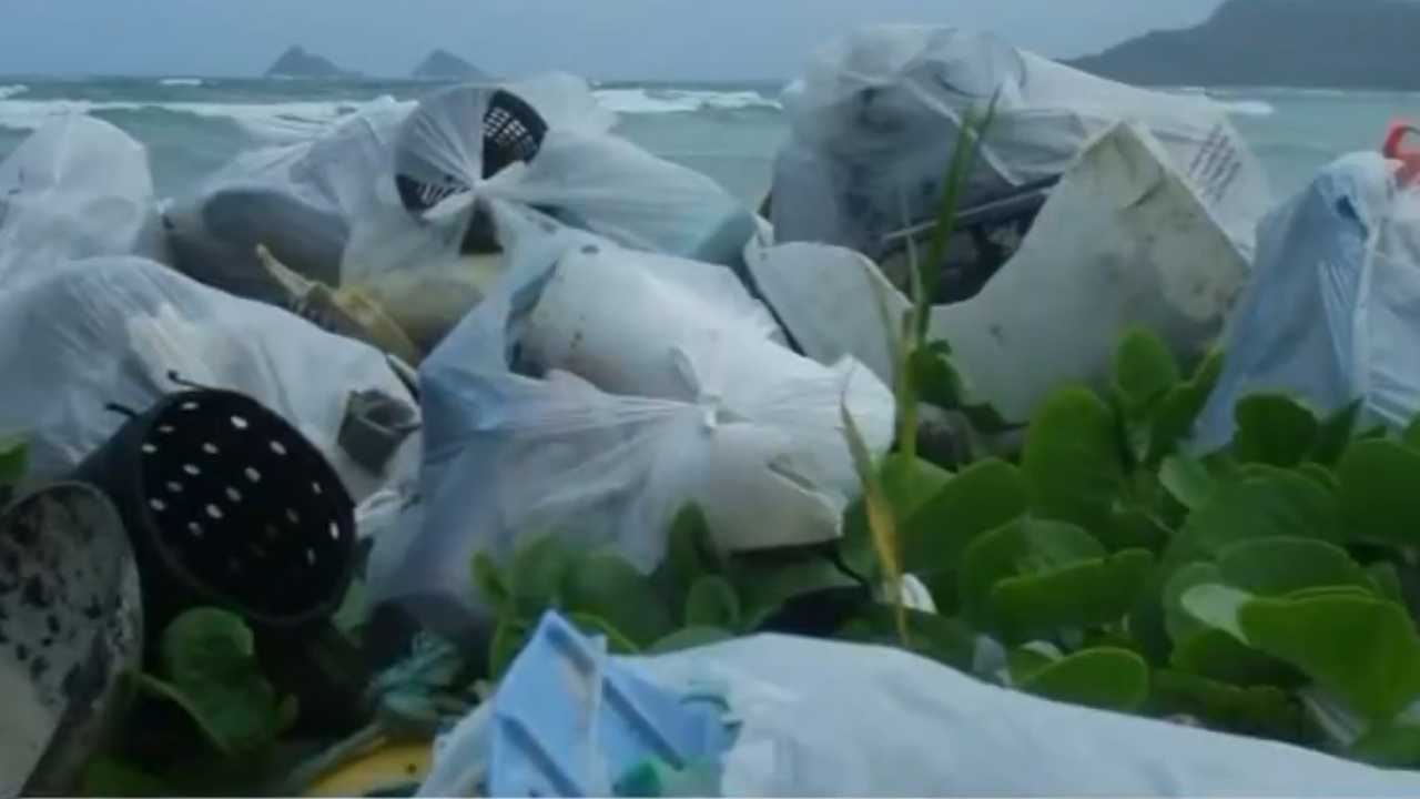 Moi truong song dang bi de doa nghiem trong boi tui nylon hinh anh