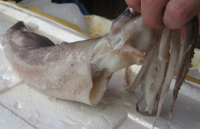 Muc ngam trong nuoc: Nguy co gay ngo doc thuc pham hinh anh