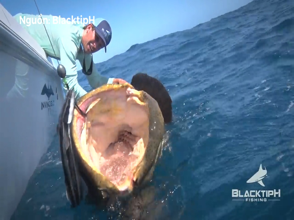 Vat lon san duoi ca mu khong lo giua dai duong hinh anh