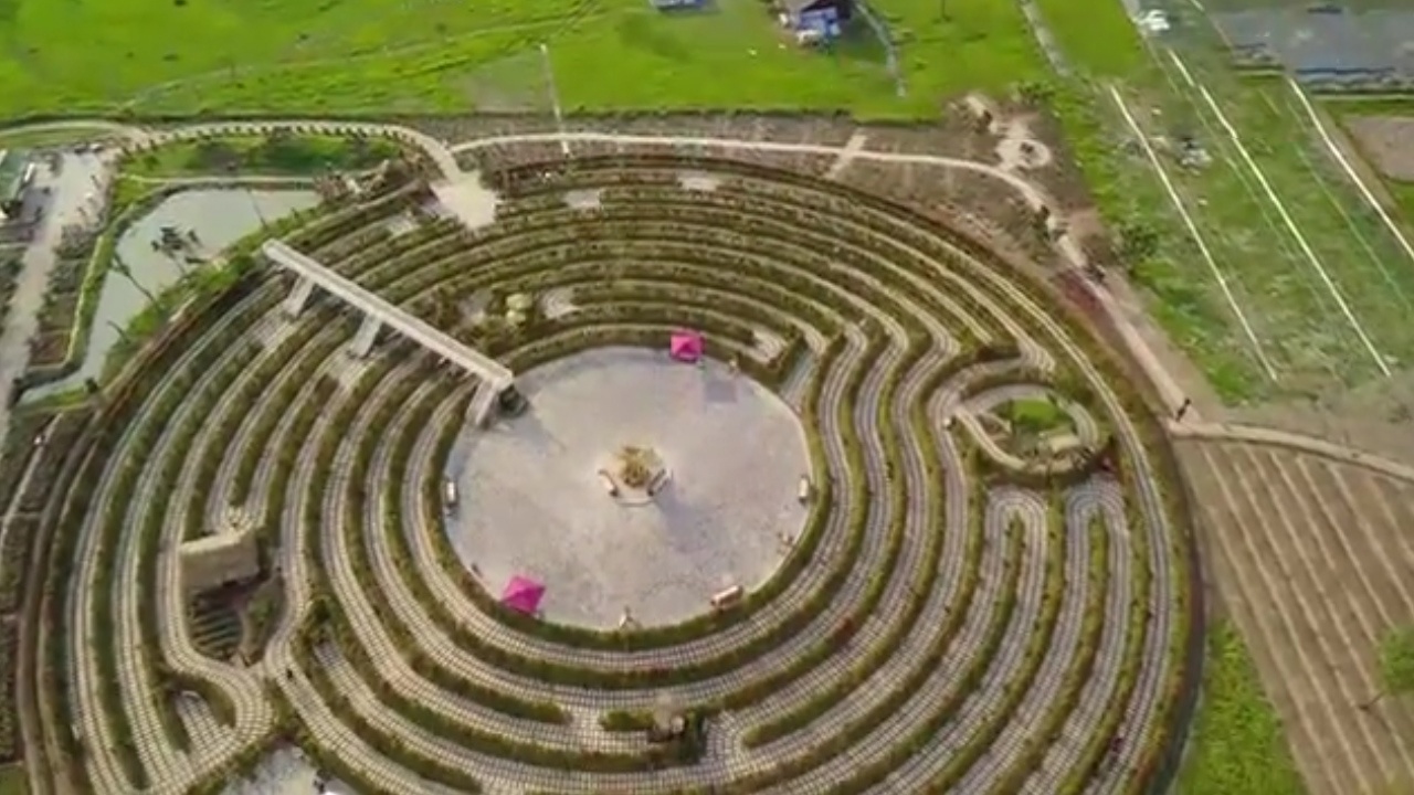 Chiem nguong me cung cay lon nhat Viet Nam moi 'moc' len o Ha Noi hinh anh