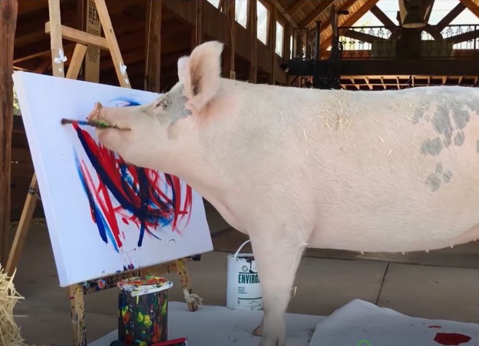 Chu heo biet ve tranh phong cach Picasso hinh anh