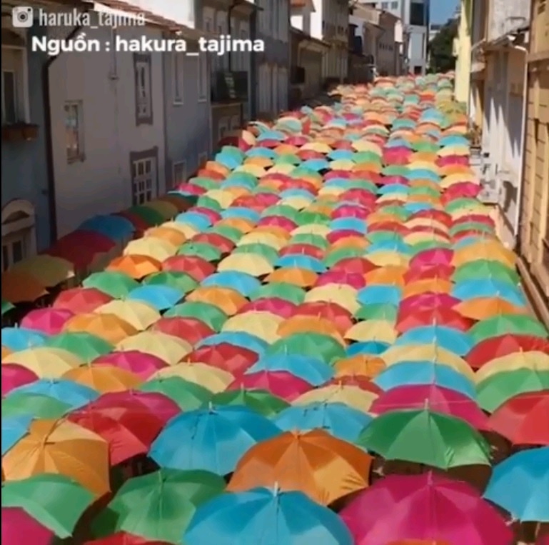 Con duong voi hang tram chiec o mau sac cho khach du lich Bo Dao Nha hinh anh