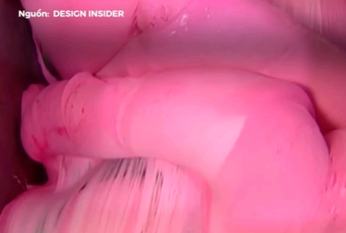 Chat nhay mau hong nay la nguon goc keo cao su chung ta an hang ngay hinh anh