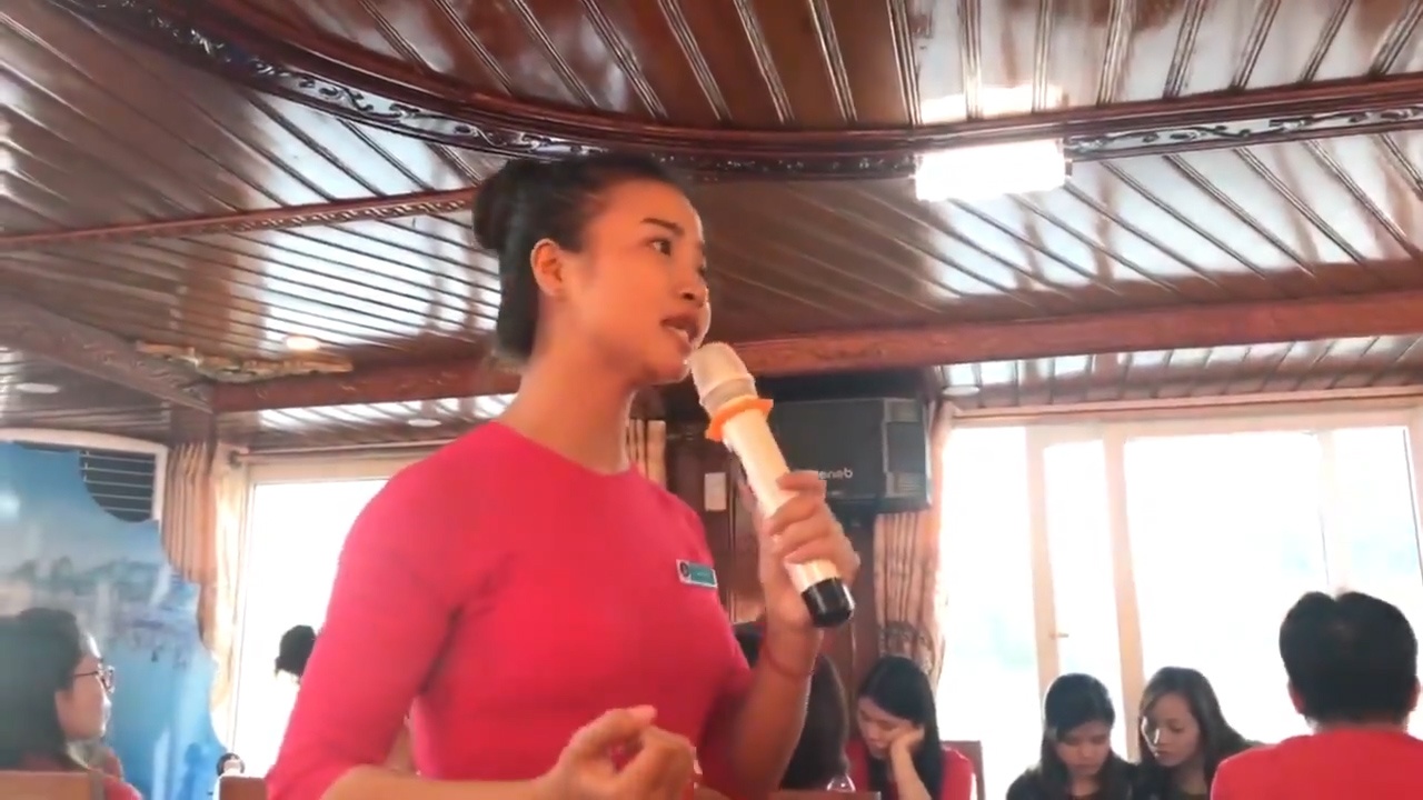 Co gai thuyet trinh ve cau Ham Rong khien du khach me man hinh anh