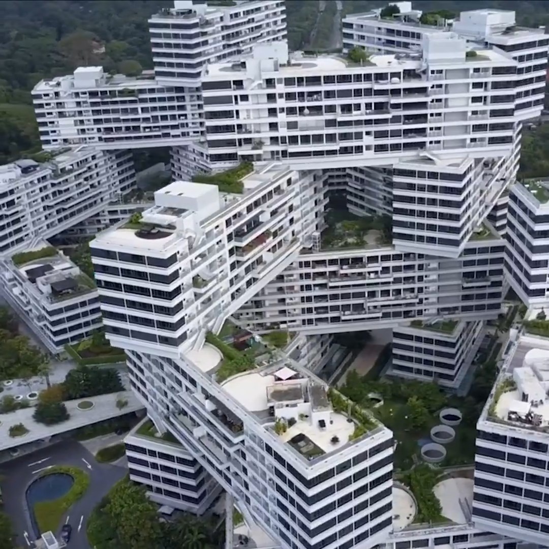 Quan the cao oc doc dao danh lua thi giac tai Singapore hinh anh