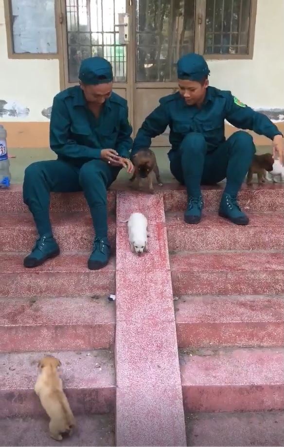 Hai chang trai va man cho cho choi cau tuot dang yeu hinh anh