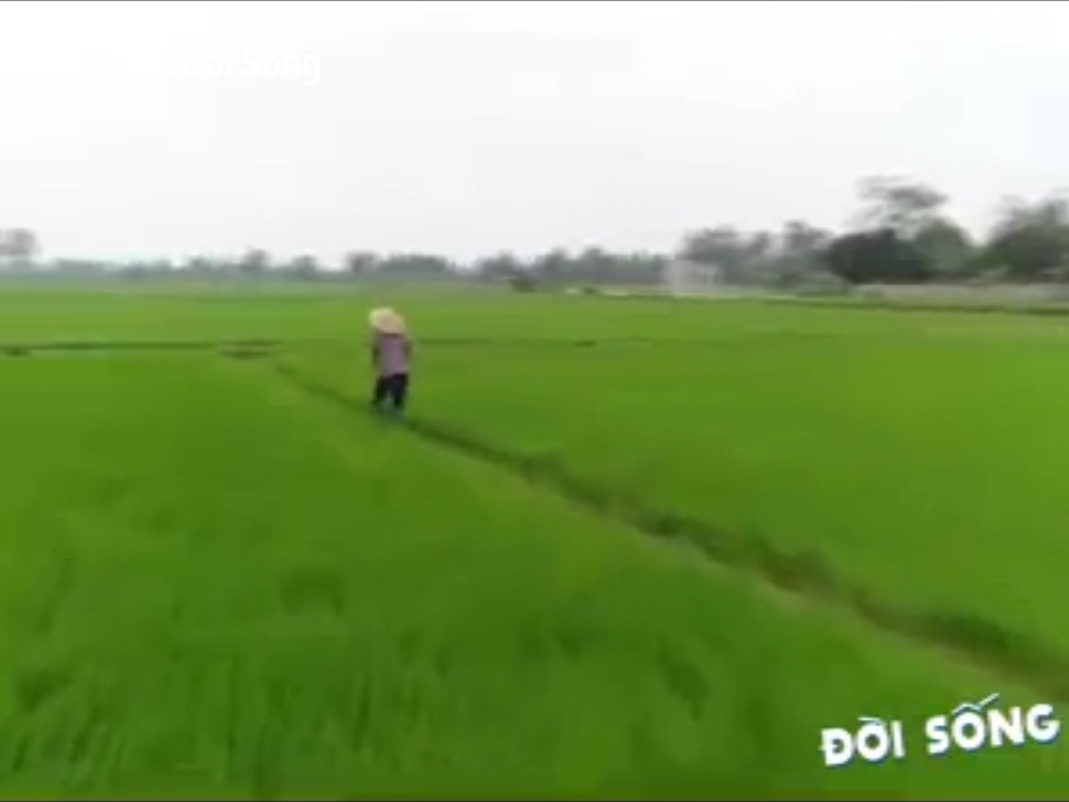 Nguoi nong dan hoang so va bo chay khi thay flycam giua dong hinh anh