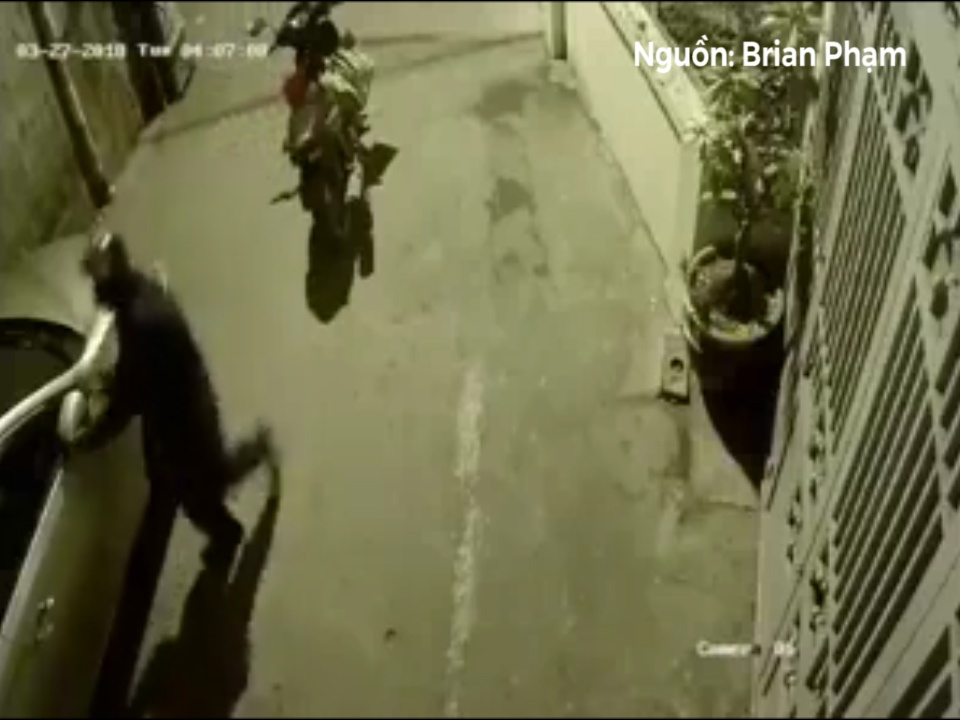 Nguoi dan ong mang ca bao tai di trom guong oto hinh anh