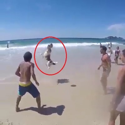 Cho cung tang bong chinh xac nhu cau thu hinh anh