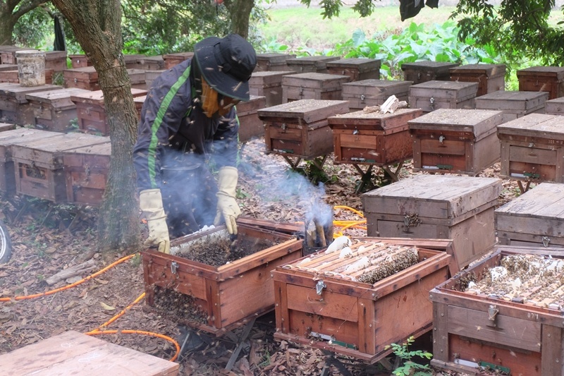 Nguoi dan Hung Yen hun khoi duoi ong lay mat, thu hang tram trieu dong hinh anh