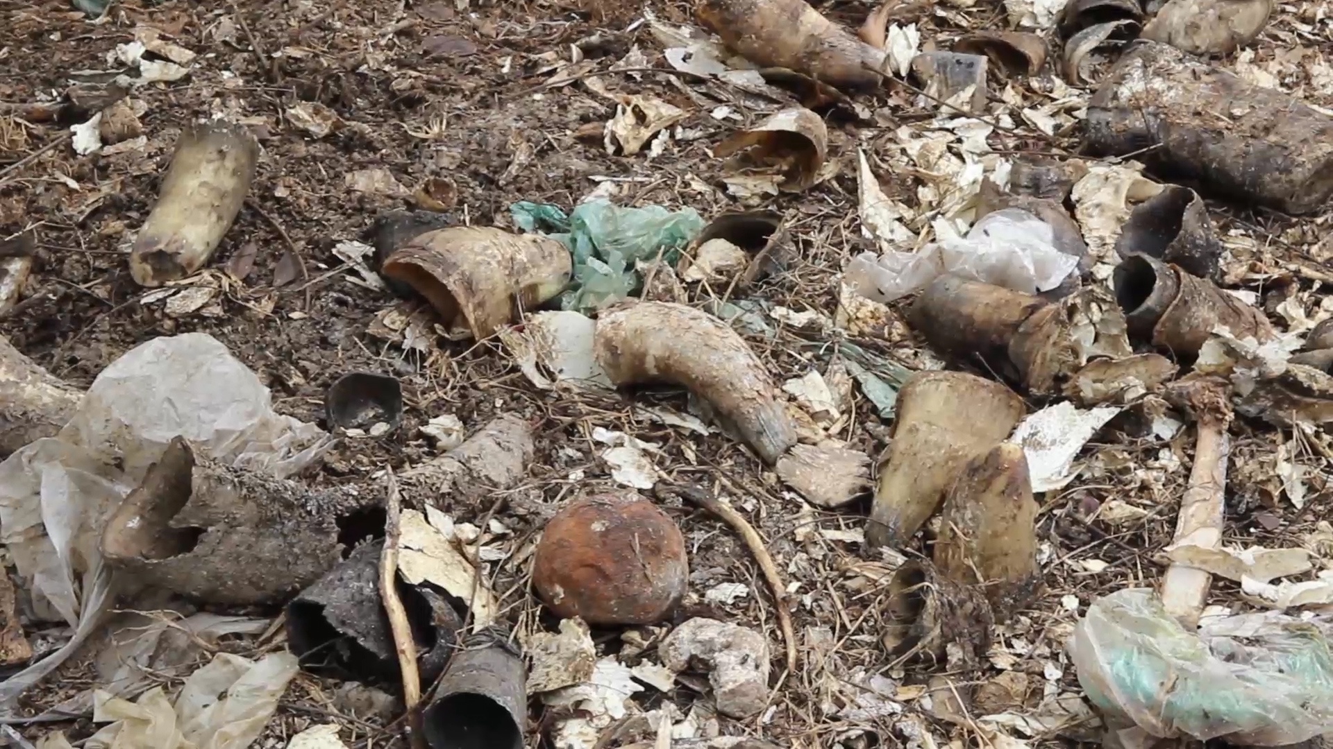 Xuong lon, gioi bo luc nhuc, ruoi bu den kit ca quang duong o Ha Noi hinh anh