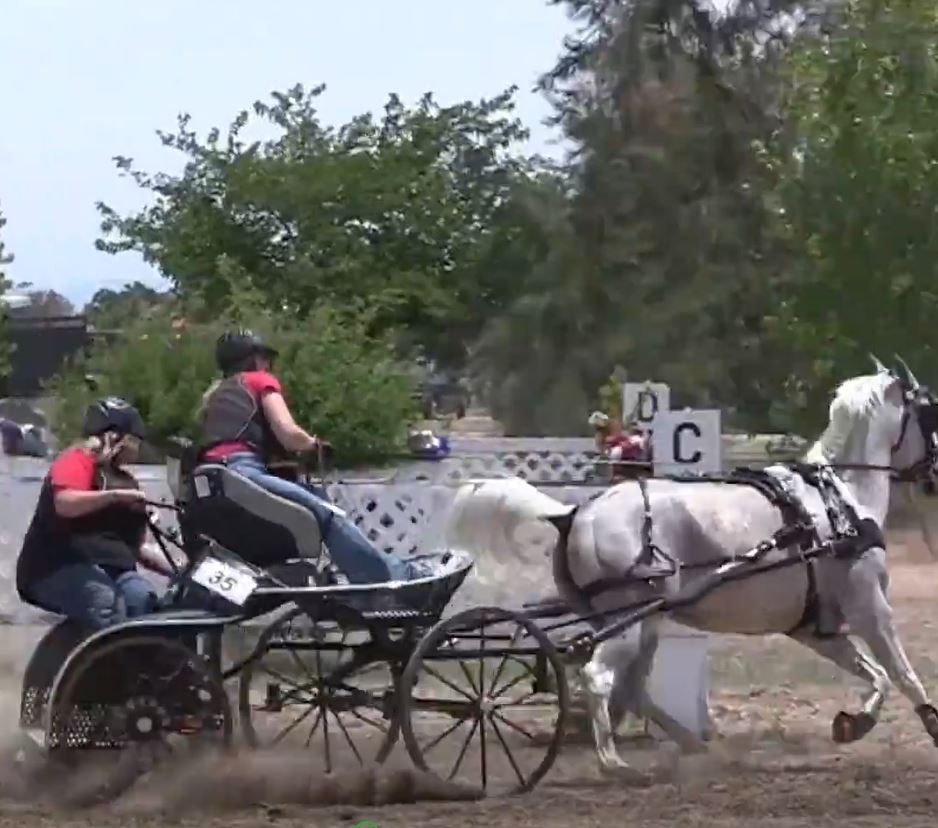 Cuoi heo thay ngua va nhung man nga hai huoc hinh anh