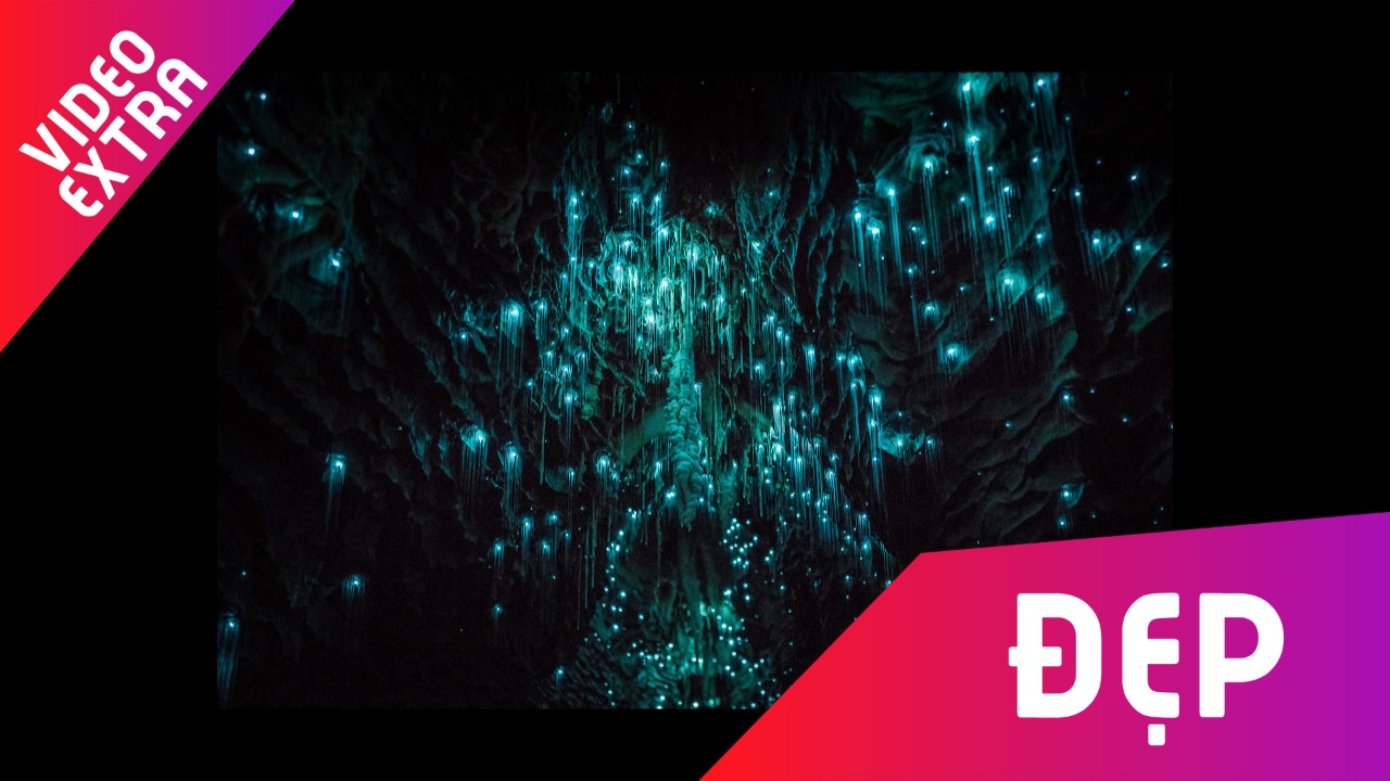 Lac giua hang dong dom dom ky ao o New Zealand hinh anh