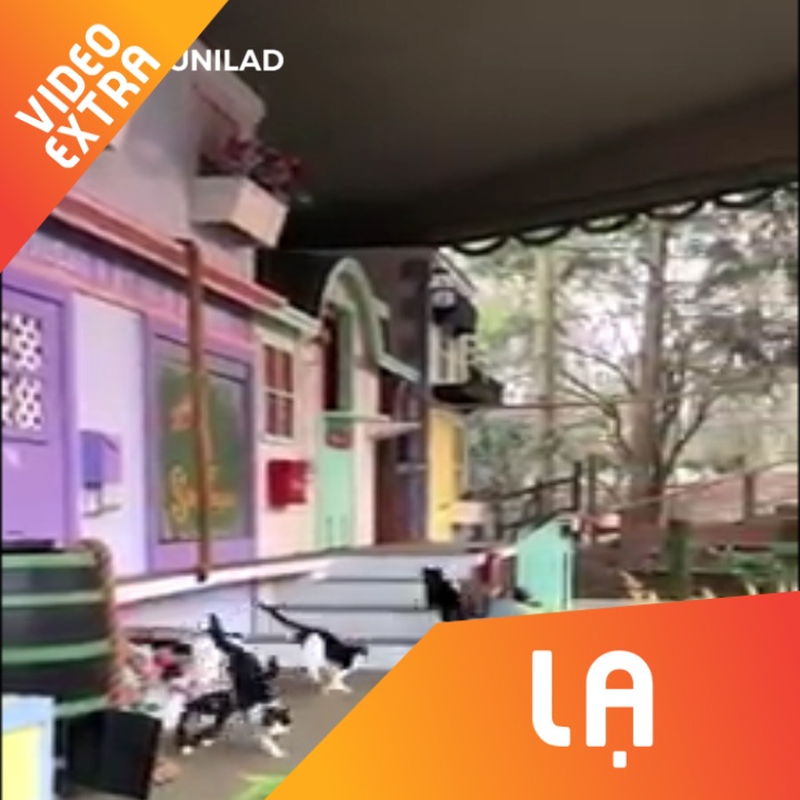 Man duoi bat nhuan nhuyen cua cac loai dong vat hinh anh