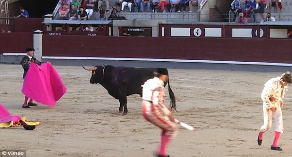 Dau si bi bo tot tan cong thoat chet trong gang tac tai Phap hinh anh