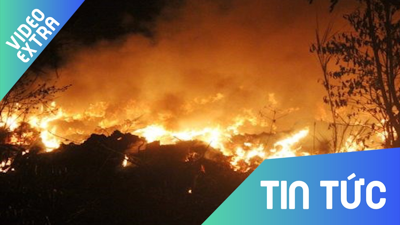 Chay rung dien rong trong khu bao ton nui Ta Cu hinh anh