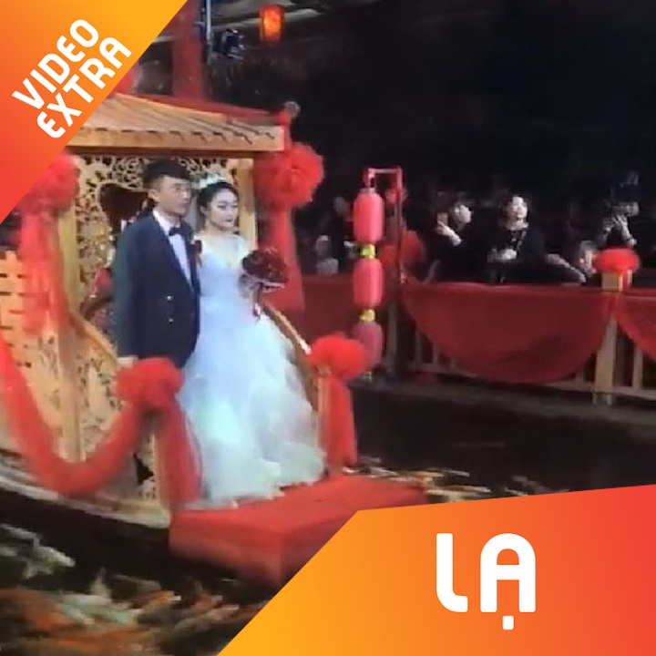 Thuyen cuoi tren ho ca chep tao khung canh than tien o Trung Quoc hinh anh