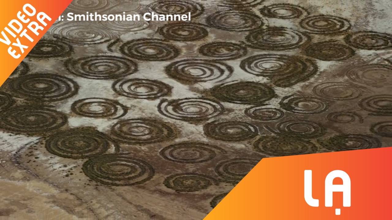 Nhung vong tron bi an tren sa mac Nam Phi hinh anh