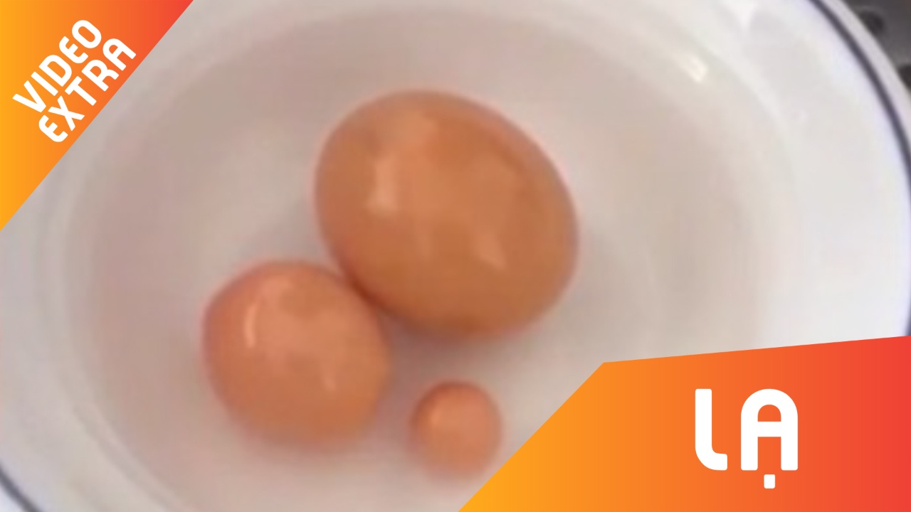 Mua oc ve an, vo duoc ngoc oc dat tien tai Trung Quoc hinh anh