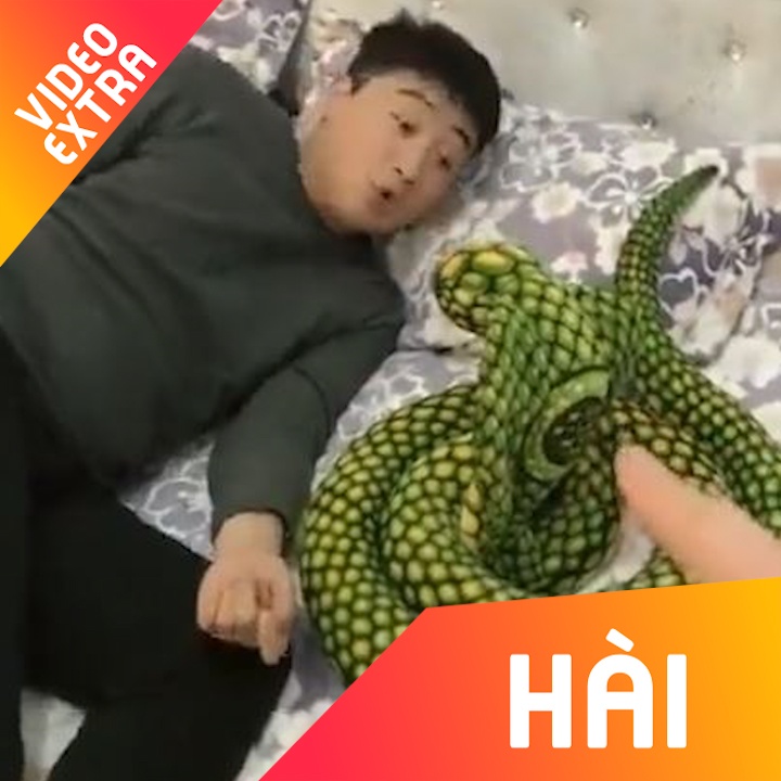 Tro dua cua co vo khien anh chong 'mat ngu' hinh anh