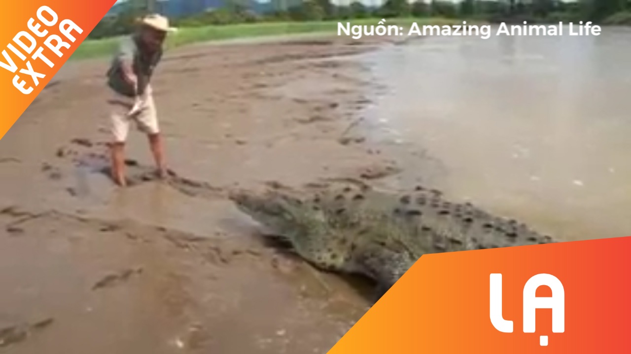 Nguoi dan ong du ca sau khong lo an moi bang tay khong hinh anh