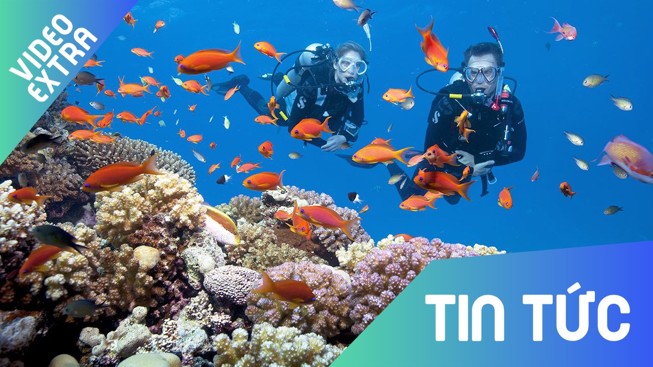 San ho Phu Quoc va 'qua khu hoang kim' hinh anh