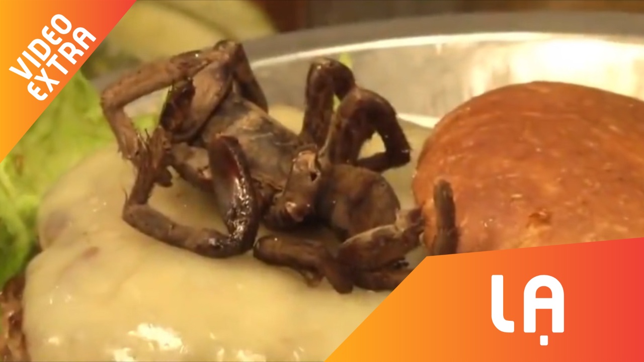 Doc, la voi banh hamburger nhan nhen o My hinh anh