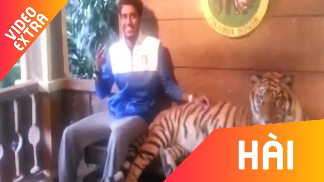 Nhung pha 'hu via' khi bi dong vat bat ngo hung du tro lai hinh anh