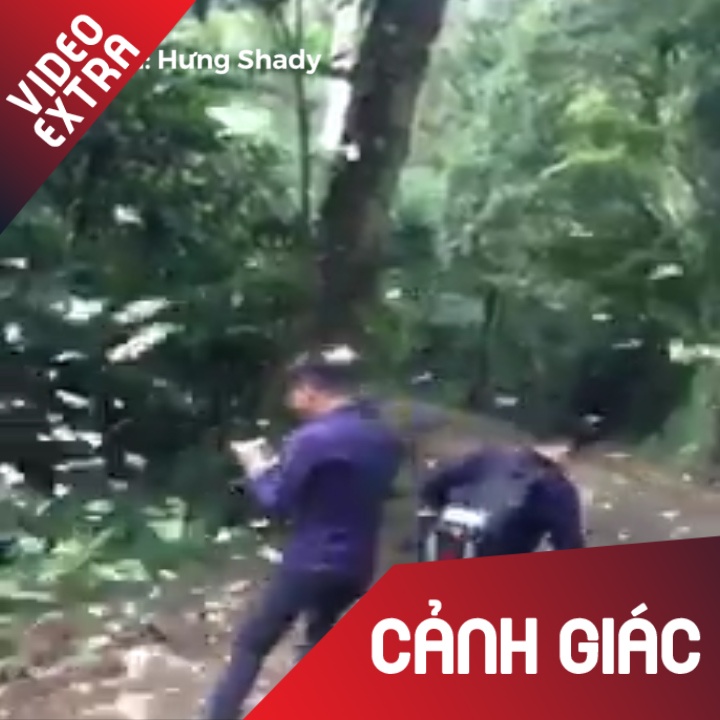 Nhom thanh nien nhay vao giua dan buom giua rung Cuc Phuong hinh anh