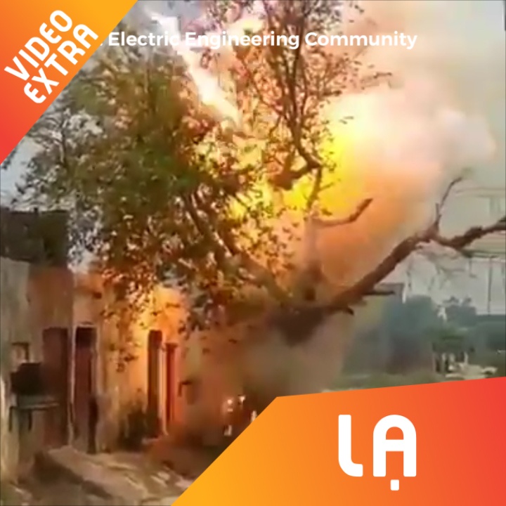 Day dien doan mach, thieu chay cay trong vai giay hinh anh