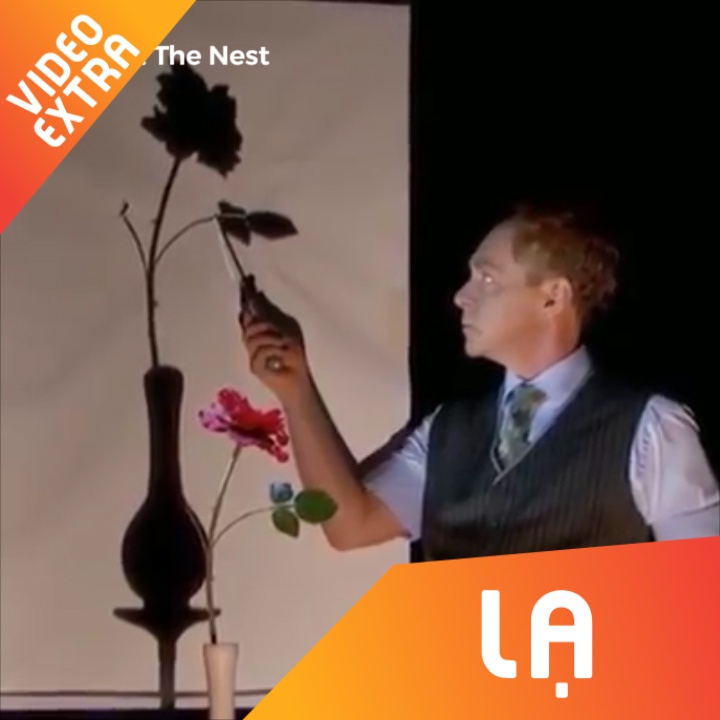 Ao thuat gia cat chiec bong, bong hoa that dut lia hinh anh