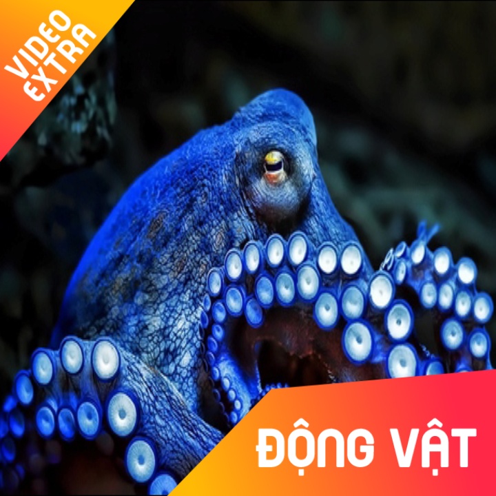 Bach tuoc: Bac thay cua nhung cuoc nguy trang hinh anh