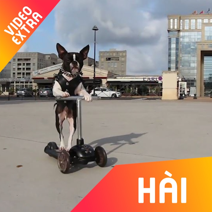 Nhung pha mao hiem that bai tu xe truot van hinh anh