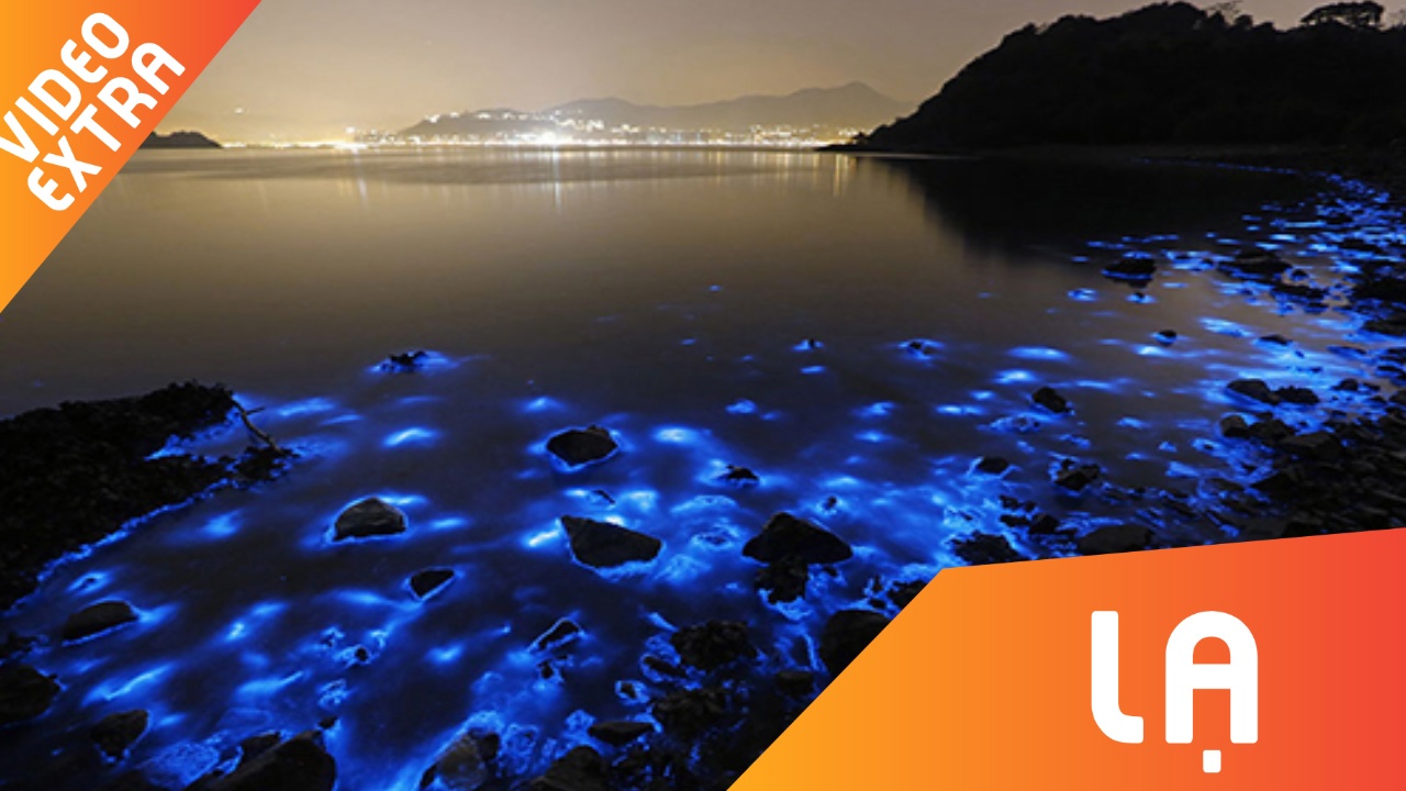 Bi an dong bien tu phat sang tai Australia hinh anh