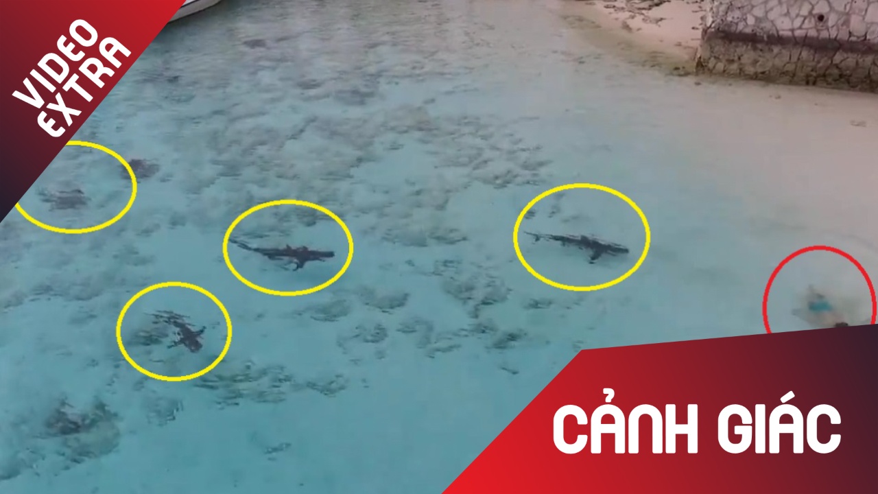 Mai tam bien, be trai bi 4 ca map tiep can canh ben hinh anh