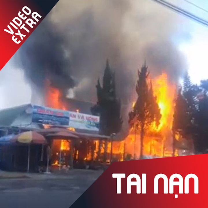 Chay lon tai khu du lich ho Tuyen Lam hinh anh