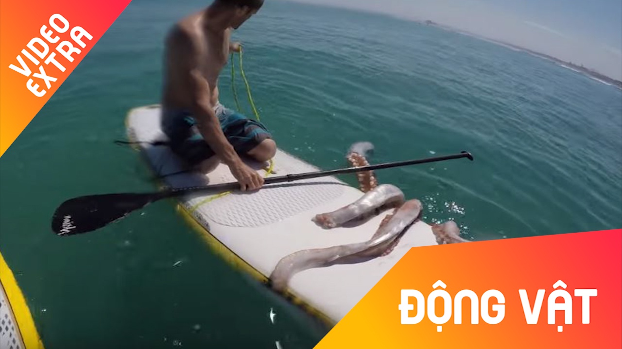 Muc khong lo 'gianh' lay chiec thuyen cua anh chang hinh anh